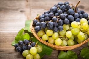 Botrite e oidio, il bilancio fitosanitario dell'uva da tavola