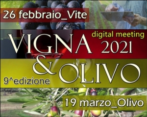 EVENTO ONLINE - Vigna & Olivo 2021, appuntamento con l'olivicoltura