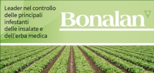 Bonalan: leader nel controllo delle principali infestanti delle insalate e dell'erba medica