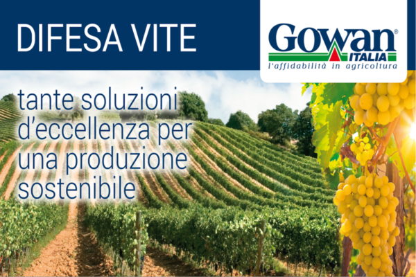 Linea Vite Gowan: ottimi risultati a difesa delle produzioni vitivinicole