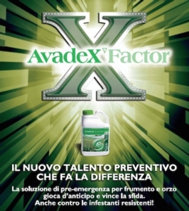 AvadeX Factor: il nuovo talento preventivo che fa la differenza