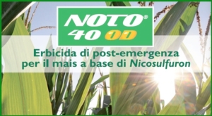 Il nuovo Noto 40 OD e le altre soluzioni per il diserbo post-emergenza del mais