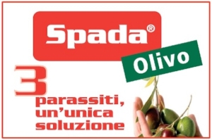 Controlla i parassiti dell’Olivo e proteggi la produzione