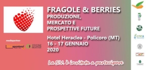 Fragole & berries protagonisti dell'evento targato Lameta