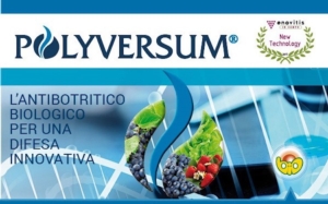 È arrivato Polyversum, l’antibotritico biologico per una difesa innovativa