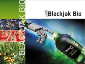 Blackjak Bio<sup>®</sup>: l'antistress per il post trapianto