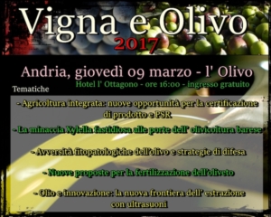 L'olivo e l'olivicoltura innovativa