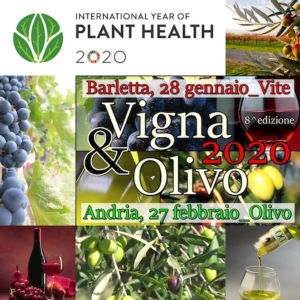 Convegno - Vigna & Olivo 2020: innovazione e sostenibilità nella moderna gestione degli oliveti
