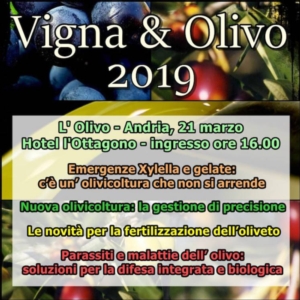 Vigna & Olivo: protagonista l'olivicoltura